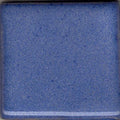 Coyote Enduro MBG-191 Blue Cornflower