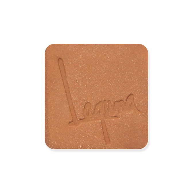 Laguna Clay Red B Mix with Grog WC438