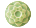 Amaco Celadon C-42 Saguaro