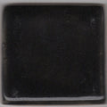 Coyote Gloss MBG-002 Black