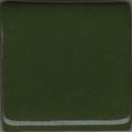 Coyote Gloss MBG-005 Chrome Green