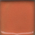 Coyote Gloss MBG-020 Orange