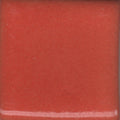 Coyote Gloss MBG-051 Pumpkin