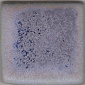 Coyote Archies MBG-028 Blue Purple