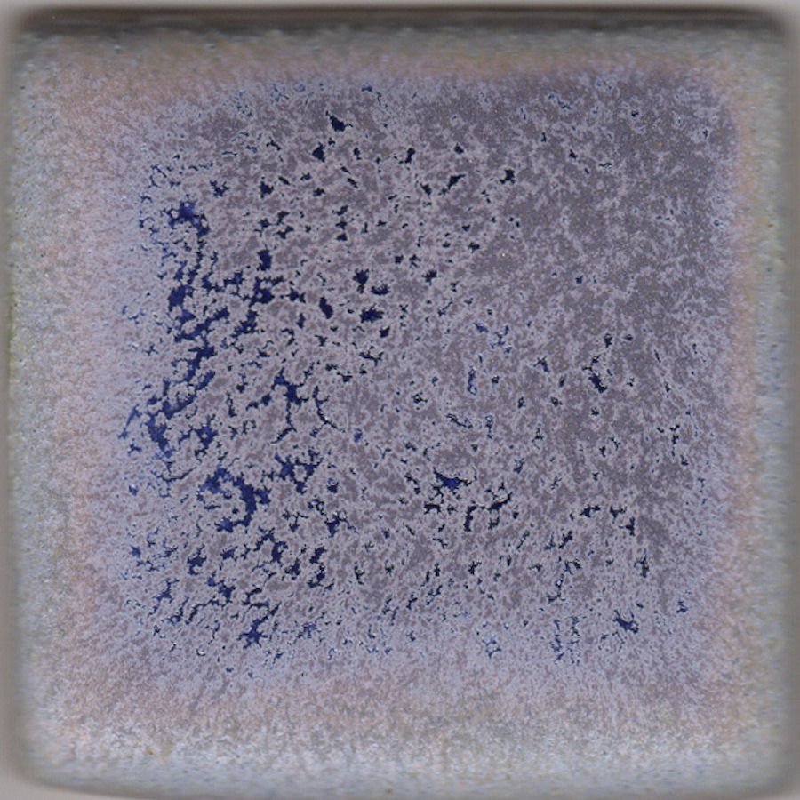 Coyote Archies MBG-028 Blue Purple