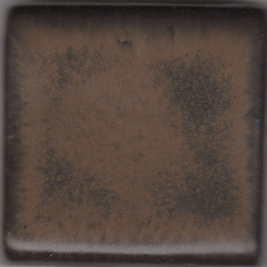 Coyote Shino MBG-059 Espresso Bean