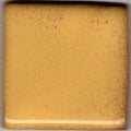 Coyote Shino MBG-088 Goldenrod