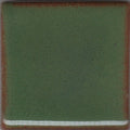 Coyote Shino MBG-044 Green