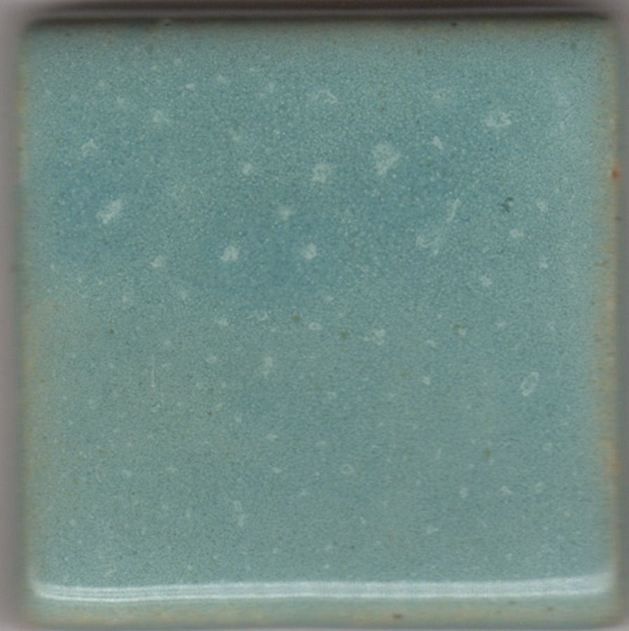 Coyote Texas 2-Step Oilspot MBG-154 Sea Mist