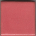 Coyote Texas 2-Step Oilspot MBG-152 Texas Rose