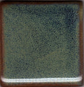 Coyote Constellation MBG-176 Andromeda