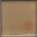 Coyote Constellation MBG-173 Summer Spice