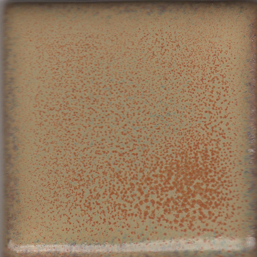 Coyote Constellation MBG-173 Summer Spice