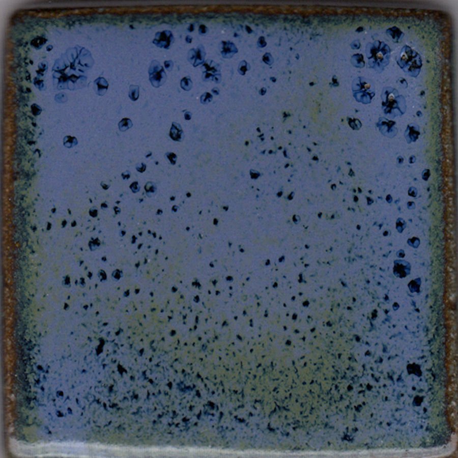 Coyote Mottled MBG-016 Mottled Blue