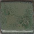 Coyote Mottled MBG-038 Pam's Green