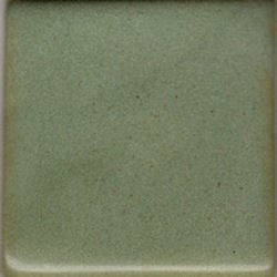 Coyote Enduro MBG-183 Deep Avocado