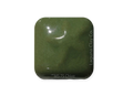 MS-075 Chive