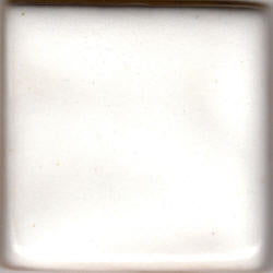 Coyote Gloss MBG-023 White