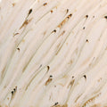 Amaco Potters Choice Flux PCF-74 River Birch