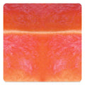 Speedball Living Coral