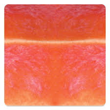 Speedball Living Coral