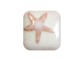 MS-224 Mint Spice